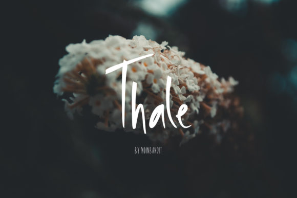 Thale Font