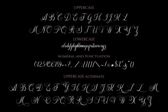 The Adelyne Font Poster 11
