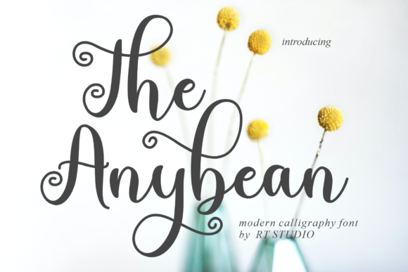 The Anybean Font Poster 1