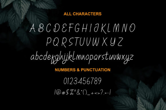 The Beauty Font Poster 8