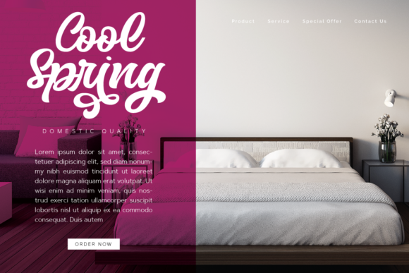 The Bride Font Poster 3