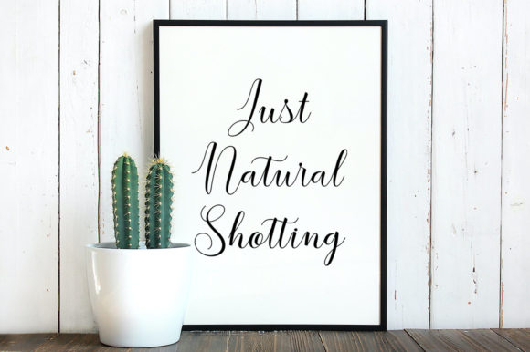 The Brilliant Shine Font Poster 7
