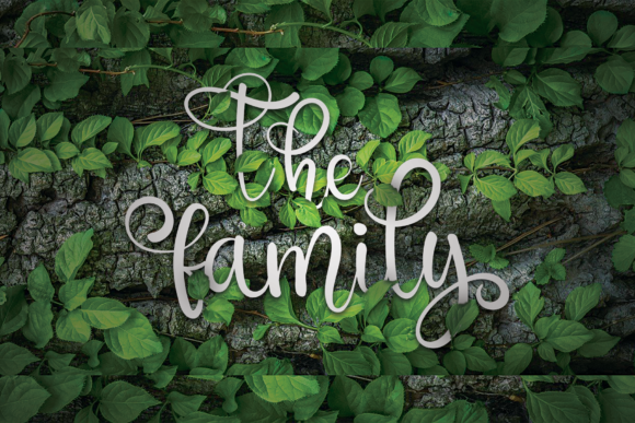 The Family Font