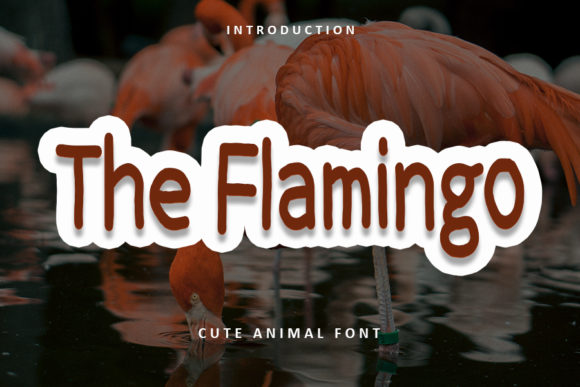 The Flamingo Font Poster 1