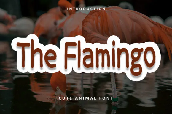 The Flamingo Font The Flamingo Font Poster 1