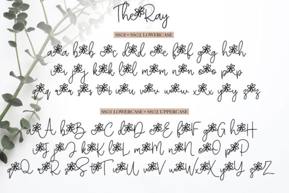 The Ray Font Poster 12