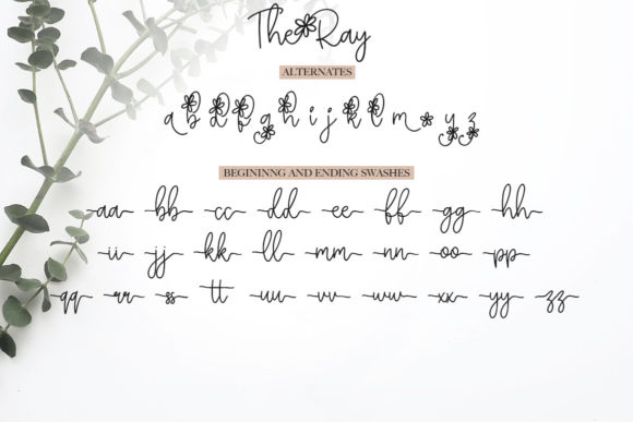 The Ray Font Poster 13