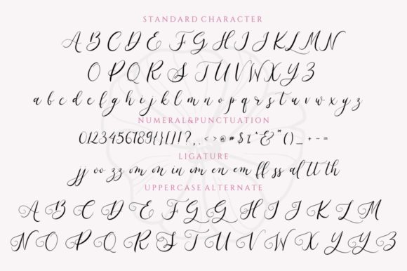 The Romance Font Poster 11