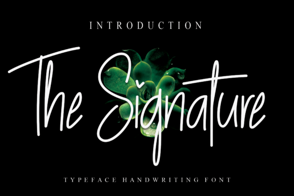 The Signature Font Poster 1