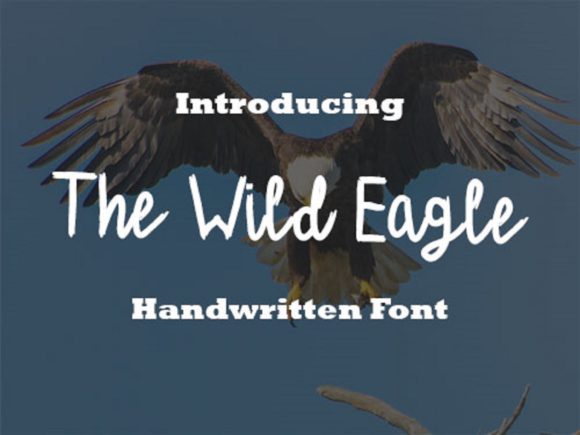 The Wild Eagle Font Poster 1