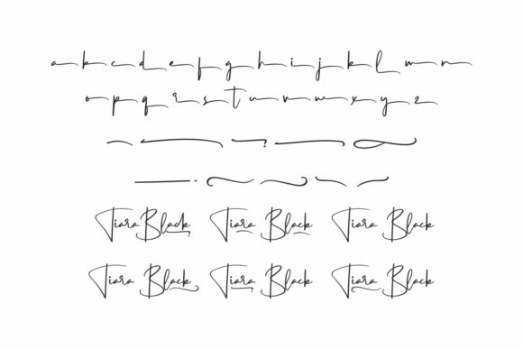 Tiara Black Font Poster 7