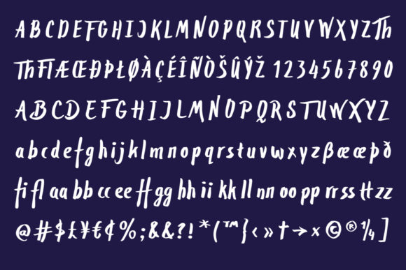 Toxa Font Poster 4