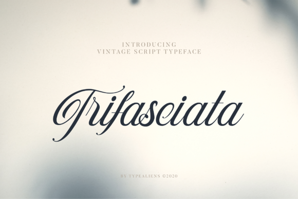 Trifasciata Font Poster 1