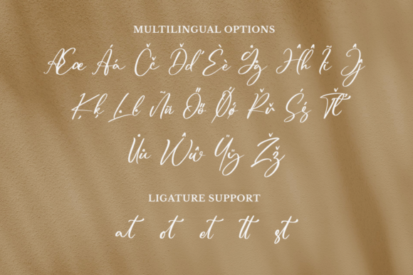 Trophyita Font Poster 11