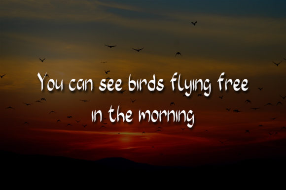 Twin Birds Font Poster 2