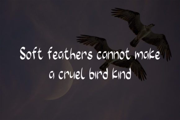 Twin Birds Font Poster 4