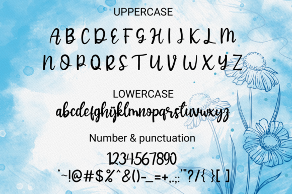 Unique Beauty Font Poster 4