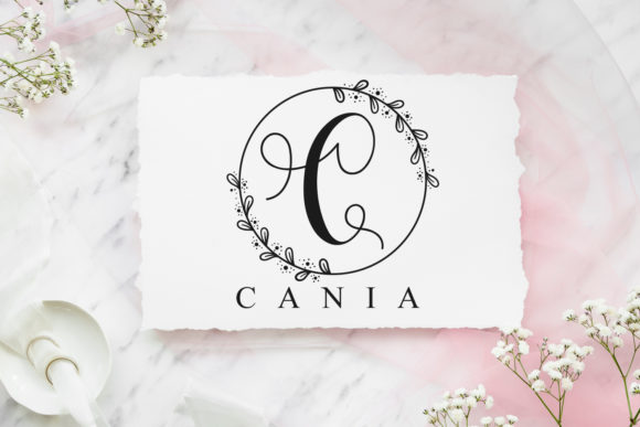 Vaylina Font Poster 7