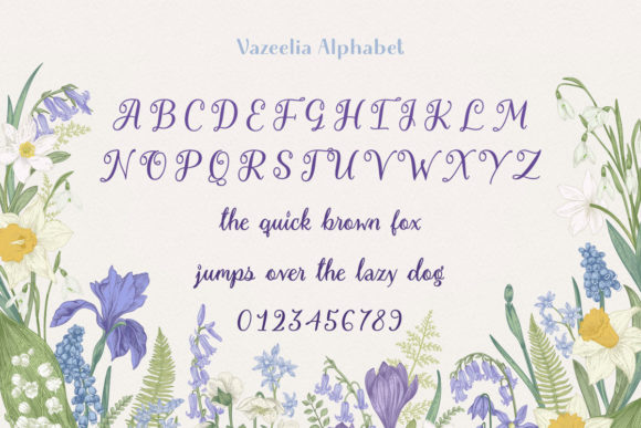 Vazeelia Font Poster 2