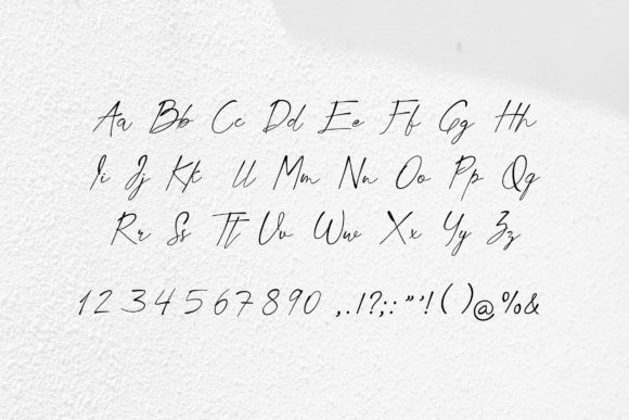 Veronica Hamish Font Poster 4
