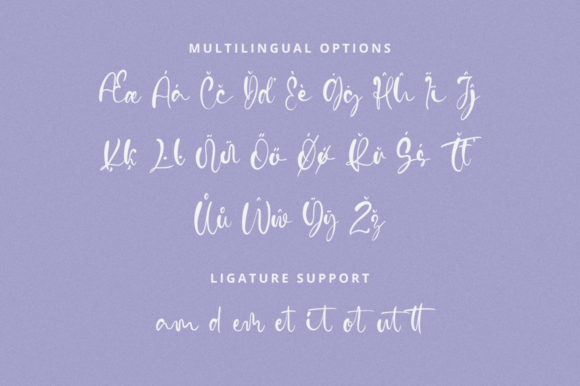 Vidytta Font Poster 11