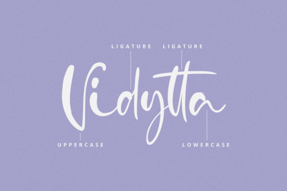 Vidytta Font Poster 9