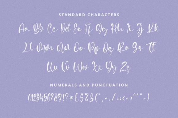 Vidytta Font Poster 10