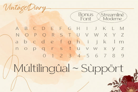 Vintage Diary Font Poster 6