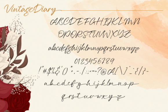Vintage Diary Font Poster 7