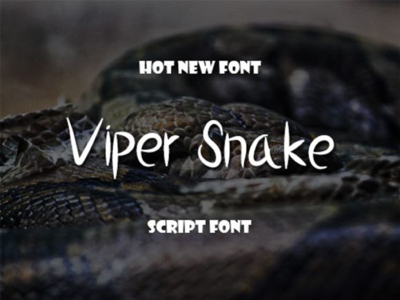 Viper Snake Font Poster 1