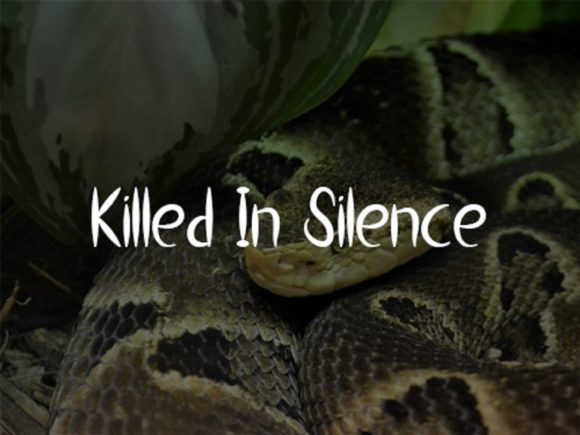 Viper Snake Font Poster 2