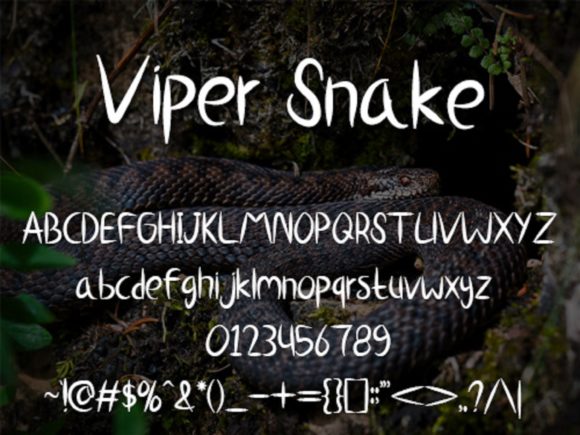 Viper Snake Font Poster 5
