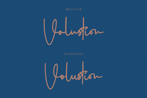 Volustion Font Poster 2