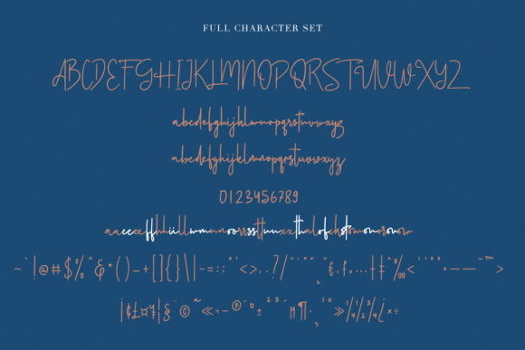 Volustion Font Poster 6