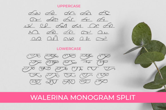 Walerina Font Poster 7