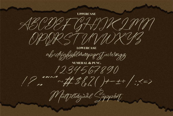 Washington Signature Font Poster 10