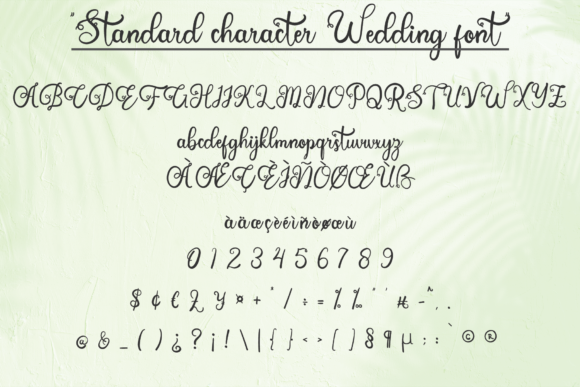 Wedding Font Poster 5