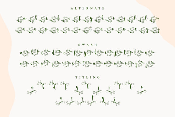 Wedding Dress Font Poster 8