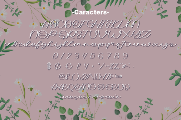 Wedding History Font Poster 2
