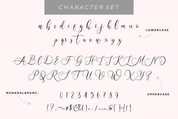 Wellstone Font Poster 7