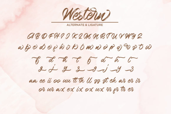 Western Font Poster 8