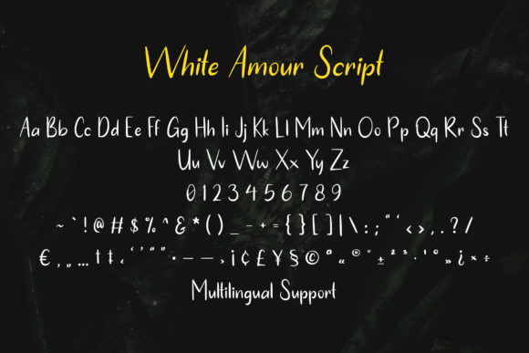 White Amour Font Poster 10