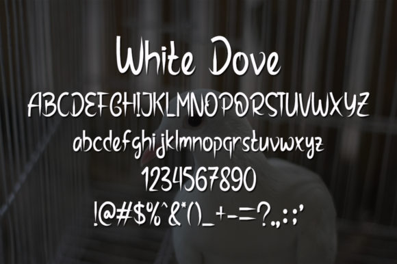 White Dove Font Poster 4