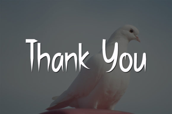 White Dove Font Poster 5