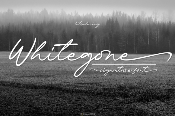 Whitegone Font Poster 1