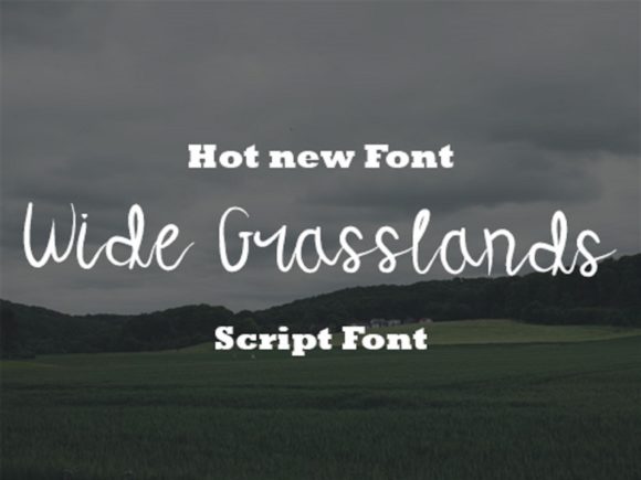 Wide Grasslands Font