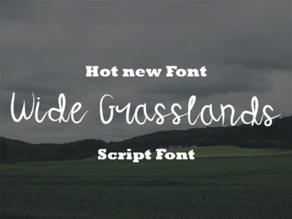 Wide Grasslands Font Poster 1