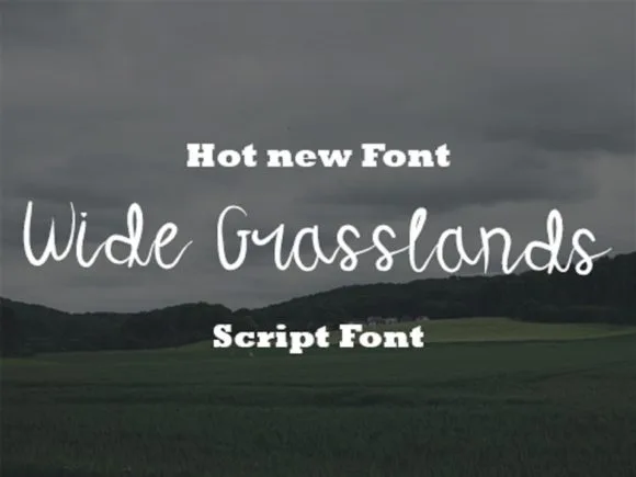 Wide Grasslands Font Wide Grasslands Font Poster 1