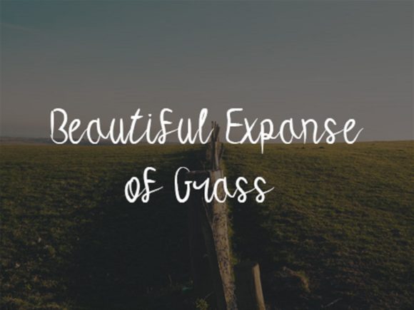 Wide Grasslands Font Poster 4