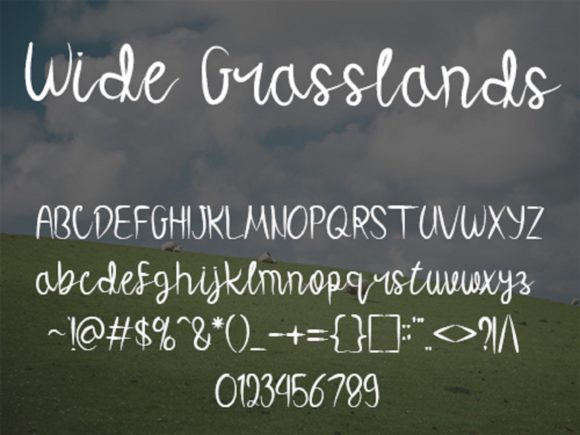 Wide Grasslands Font Poster 5